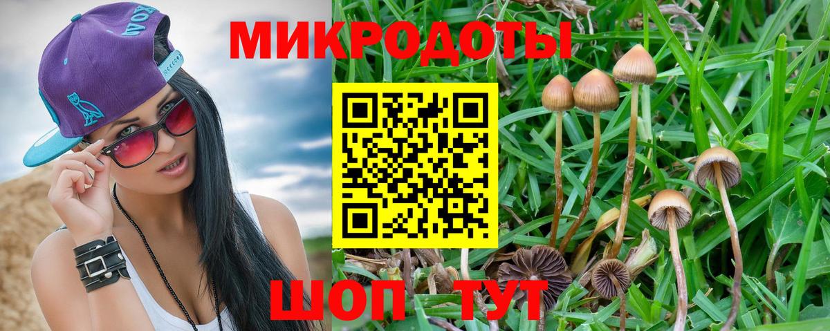 Псилоцибиновые грибы Magic Shrooms Бузулук
