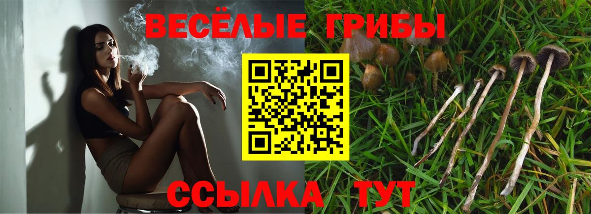 Бузулук  Псилоцибиновые грибы GOLDEN TEACHER  Вход с VPN 